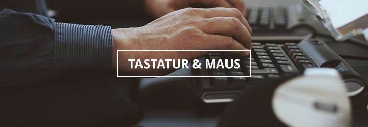 Tastaturen und Mäuse auf ergonomisches.de