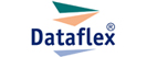 Dataflex Logo